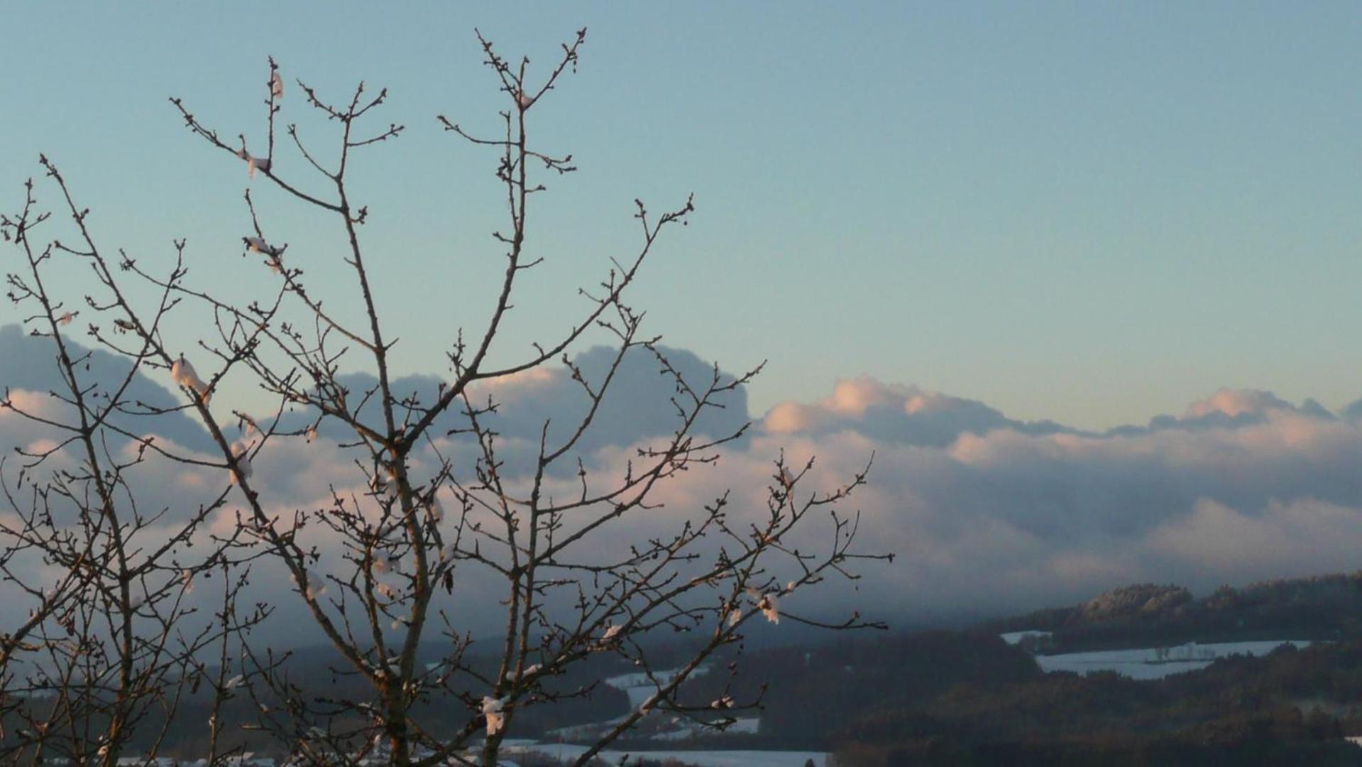 Ferienwohnungen Alpenblick Mit Garten -Panoramasauna- Kirchdorf im Wald Dış mekan fotoğraf